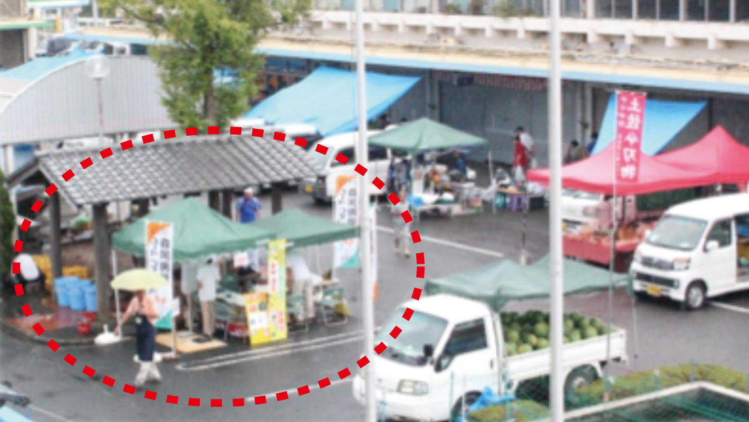 徳島びっくり日曜市